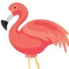Flamingo Animator Mod apk Logo